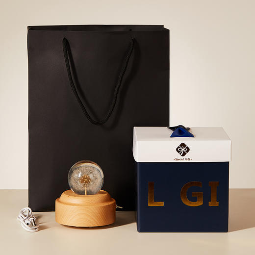 初心| 蒲公英水晶球音乐盒 商品图4