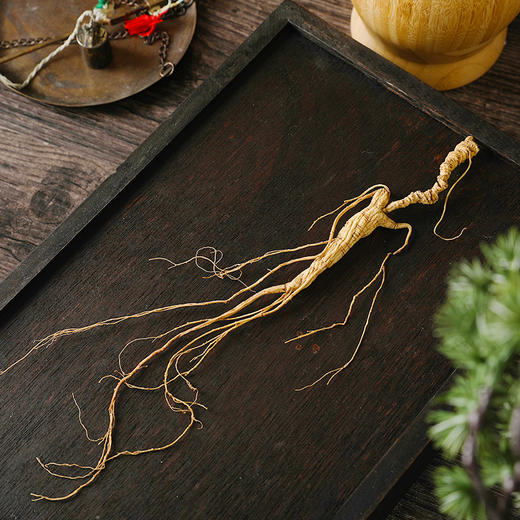 胡庆余堂15年足龄野山参4.5-4.7/4.8-5.0克礼盒装  带国检证书 商品图3