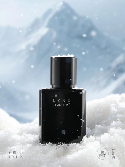 「银杉」山猫香水（第四季）疏离感冷香 30ML 商品图1