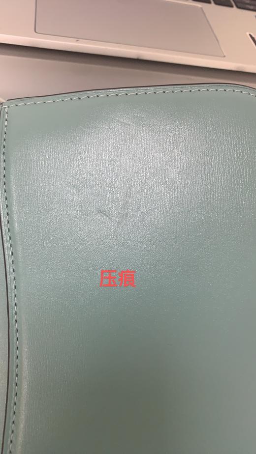 196395436590 COACH 【七夕礼物】蔻驰 IDOL系列休闲单肩链带小方包【21cm(长)x16cm(高)x8.5cm(宽)】 商品图6