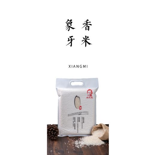 【2025新米】象牙香米 多规格【基地直发】 | 产地：江西 | 生产者：姚社长 商品图0