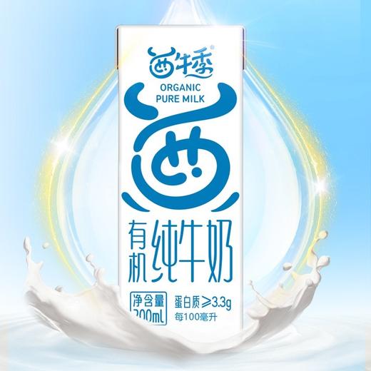 西牛季新疆天山牧场有机纯牛奶 商品图0