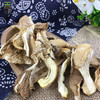 有机白蘑100g有机菌菇干货东北特产煲汤炒菜包邮 商品缩略图3