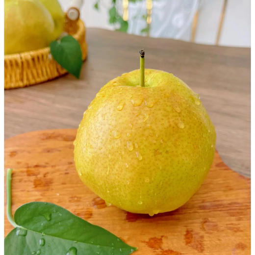 优选丨【香甜爆汁！】山西玉露香梨 4.5斤/8.5斤礼盒装 个头饱满，果肉嫩、汁水多、皮薄核小，脆甜爽口 商品图11