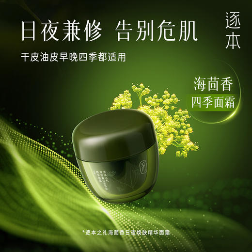 海茴香面霜日夜焕肤精华面霜 滋润补水保湿 商品图3