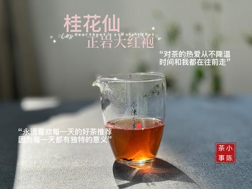 [会员福利]小陈茶事2025正岩大红袍《桂花仙》，牛栏坑坑主家的手作大红袍，桂皮香、桂花香，茶汤稠润、绵密似绸缎！ 商品图5