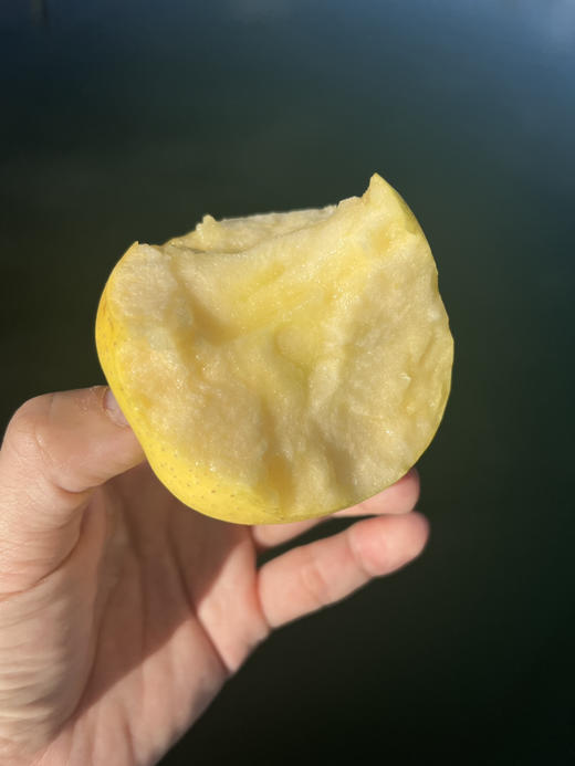 丑果维纳斯。丑是真的丑 甜是真的甜 商品图3