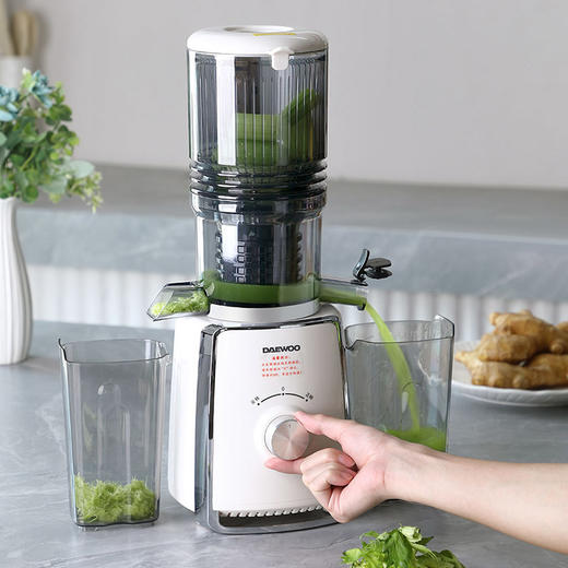 大宇原汁机DYYZ-08Y25 商品图2