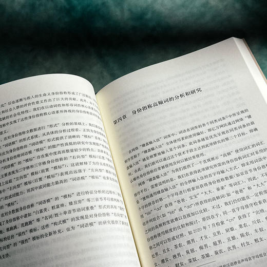 何为身份指称 金志军 语言研究 社会语言学 当代汉语语言生活 商品图9