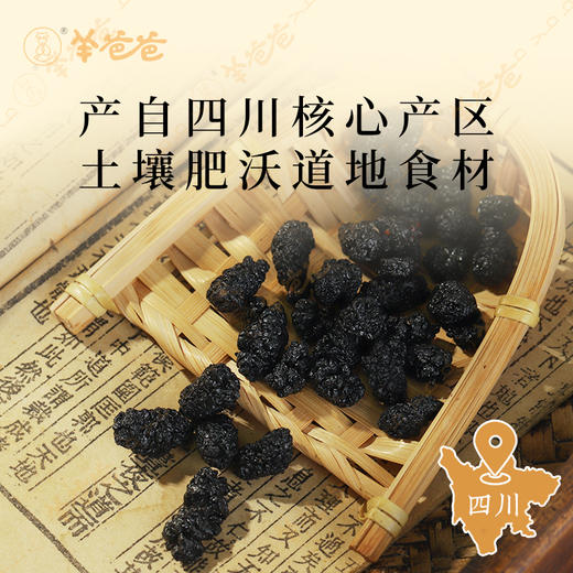 【桑椹】四川桑椹 富含花青素 滋养元气  润养秀发与双眸 即食煮茶皆可 商品图3