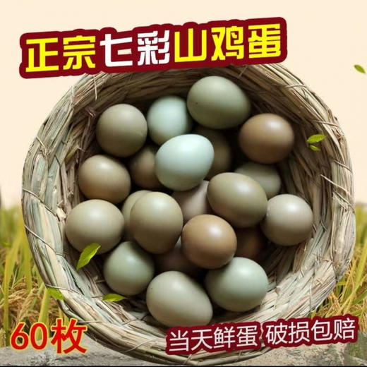 礼盒装【农家谷物喂养！现捡现发】正宗七彩山鸡蛋营养孕妇辅食宝宝初生蛋土鸡蛋10枚30枚60枚。ha 商品图1