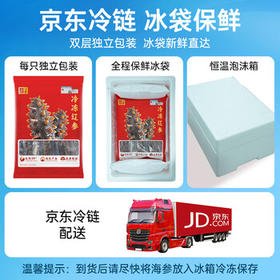 辽参大连冷冻海参1斤 10-12只 正宗辽参 非即食辽刺参 固形物≥85%
