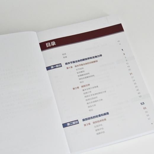 肩部康复训练 损伤预防 评估与恢复（修订版） 商品图1