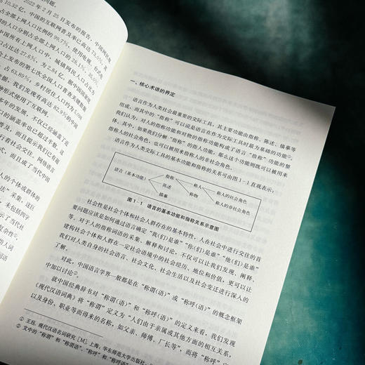 何为身份指称 金志军 语言研究 社会语言学 当代汉语语言生活 商品图8