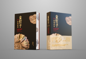 《金钉子日历2026》