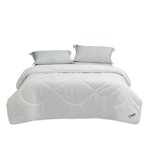 罗莱 大豆防螨抗菌柔丝冬被 II 商品图11