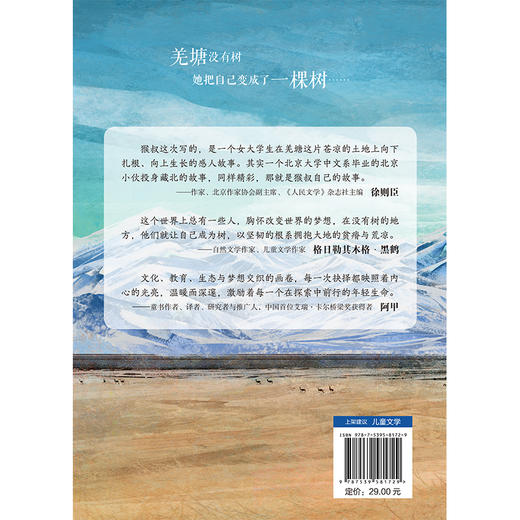 羌塘没有树 商品图4