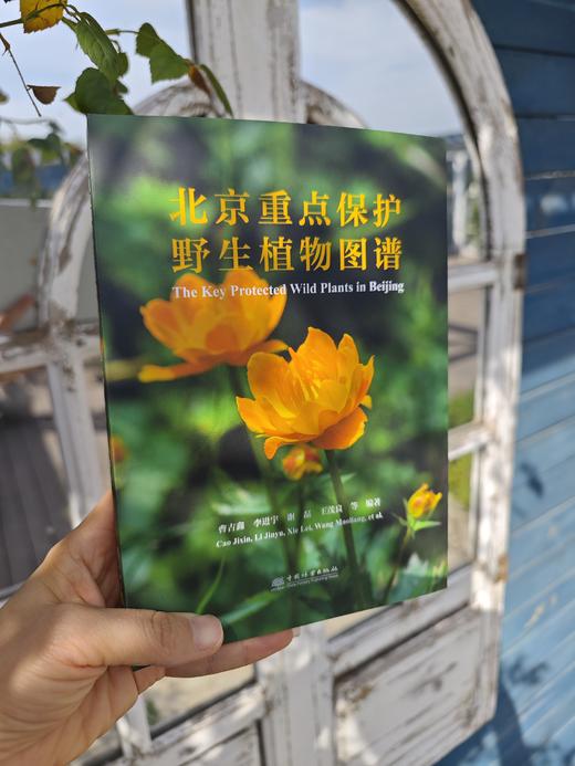 北京重点保护野生植物图谱  &3229 商品图1