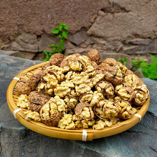 古树纸皮核桃 | 云南大理 商品图1