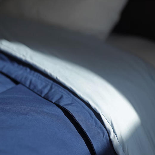 西域楼兰·星级酒店同款控温四季被 | 软糯好睡到不想起来，可拆卸子母被设计，四季都实用 商品图3