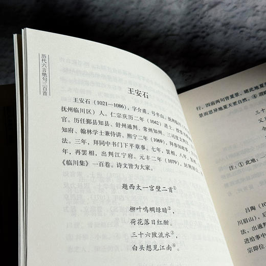 历代六言绝句三百首 郑雪峰 中国古代诗歌 商品图9