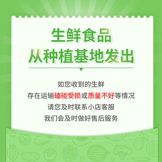 德力邦有机苹果有机青苹果  陕西渭北有机种植当季新鲜水果【德邦快递送货上门】 商品图5