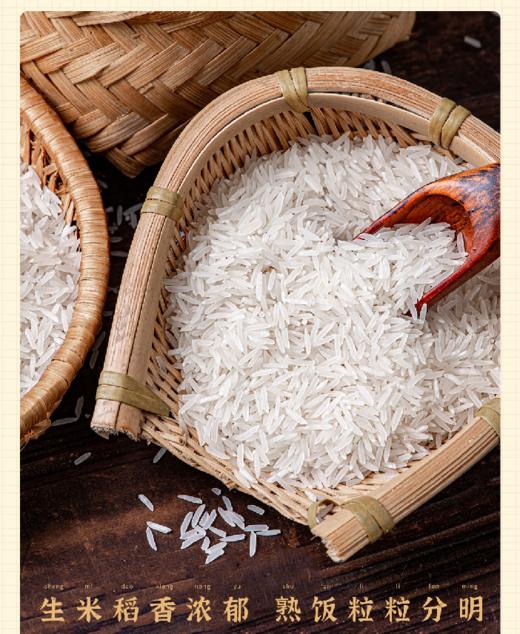 【2025新米】象牙香米 多规格【基地直发】 | 产地：江西 | 生产者：姚社长 商品图3