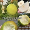 优选丨【香甜爆汁！】山西玉露香梨 4.5斤/8.5斤礼盒装 个头饱满，果肉嫩、汁水多、皮薄核小，脆甜爽口 商品缩略图5