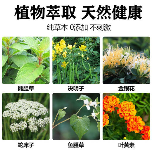 丁摩 【2瓶装】正品日本東田叶黄素熊胆明目滴眼液眼疲劳视力模糊干涩眼药滴水眼干5ZF-3954 商品图3