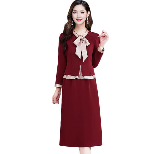 QYMYJ-25B271-Y 2025年秋季新款洋气时尚设计感长袖假两件中长款连衣裙 商品图4