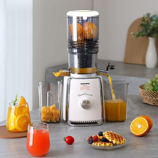 大宇原汁机DYYZ-08Y25 商品图0