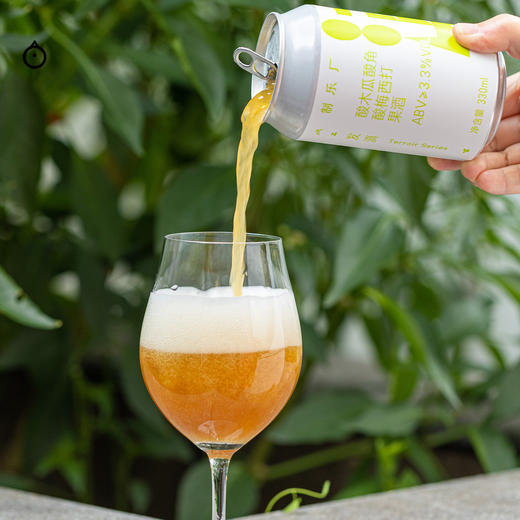 企鹅市集|南京制乐厂 风土系列 精酿套装 山竹龙眼荔枝/酸角酸梅酸木瓜/黄杏沙棘胡萝卜/橄榄油柑黄皮 啤酒 商品图5