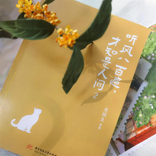 听风八百遍,才知是人间.2 商品图4