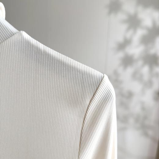 「自」全新升级【铂金会员183/天猫239/差价56】(55511)洛诗琳桑蚕丝保暖薄绒打底衫2025秋冬堆堆领修身百搭上衣女 商品图1