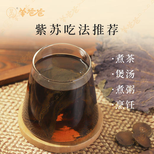 【紫苏】广东紫苏 辛香不燥 煮茶煲汤皆佳 商品图3