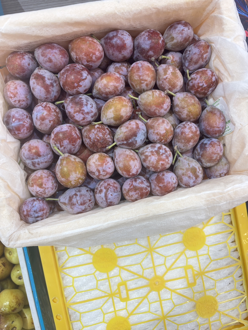 精品新疆法兰西西梅一件净重约4斤