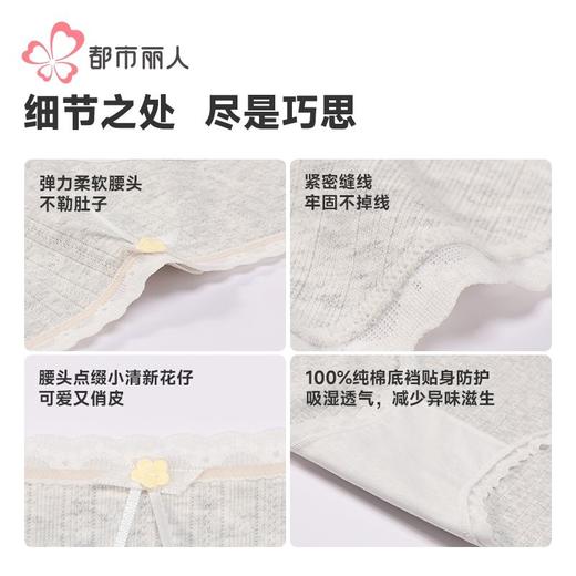 都市丽人女士内裤色纱棉内裤女士平角内裤女内裤纯棉内裤LKH5P1 商品图6