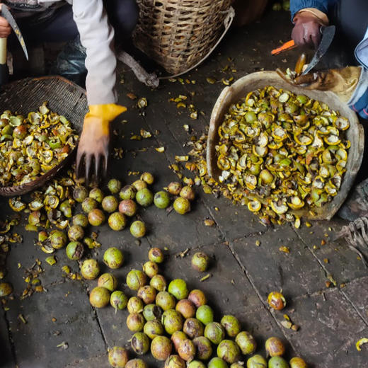 古树纸皮核桃 | 云南大理 商品图4