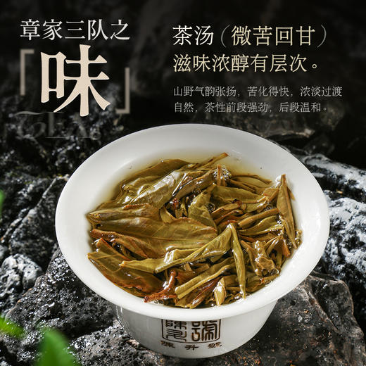 陈升号 2025年章家三队357g（生茶） 商品图3