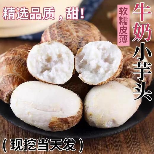 牛奶芋头 当天现挖肉质细腻 口感绵密软糯皮薄 商品图1