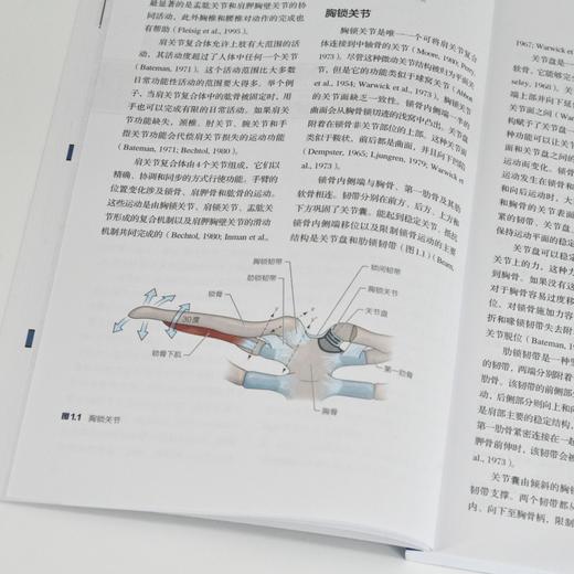 肩部康复训练 损伤预防 评估与恢复（修订版） 商品图2
