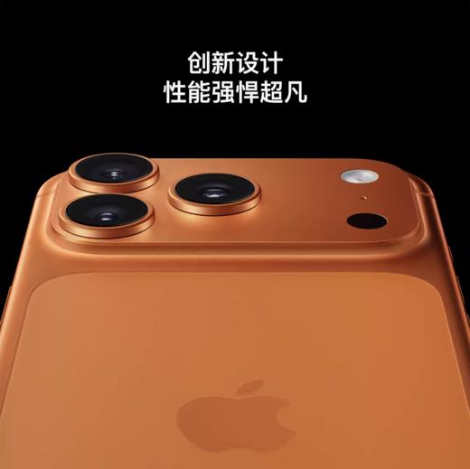 iPhone 17 Pro Max【到店自提时需激活设备】 商品图4
