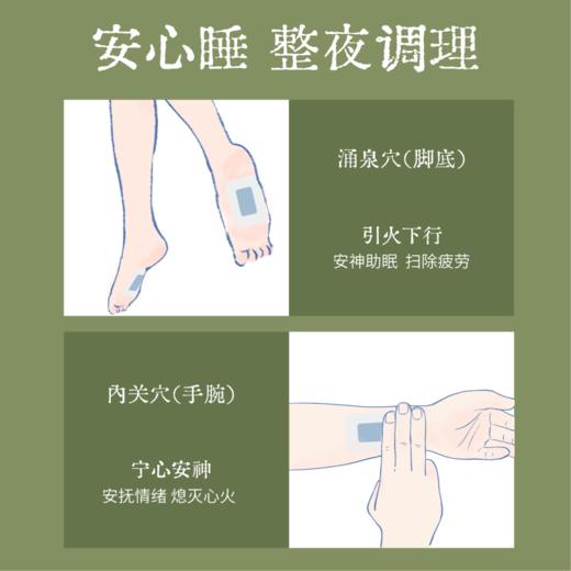 【真不二】厚朴太子参贴深山奥秘系列降火气上热下寒Y 商品图4