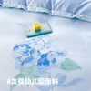 匹鲁设计款暖氧四件套床单款微磨毛透气不闷热7A级物理抗菌★★ 商品缩略图5