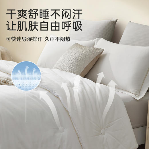 长绒棉大豆蛋白被 商品图3