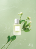 「银杉」茉莉清影香水（第四季）自然茉莉花茶清香 30ML 商品缩略图1