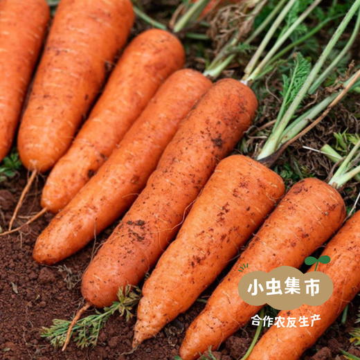 有机ABC果蔬原汁100ml*16瓶/箱 | 合作农友生产，来自云南昆明，生产者：王建钧 *【公平贸易农人定价】 商品图6