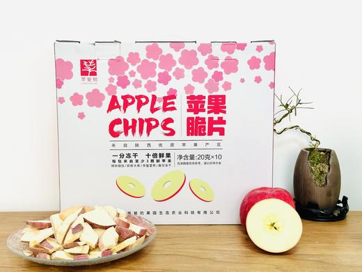苹果冻干，自己好原料，无任何添加 商品图1