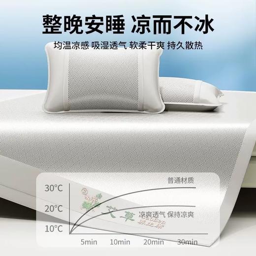 夏季爆款！凉的刚刚好！ 【馨莱悦 艾草冰丝凉席】（限时送枕套）可机洗 A类品质 整夜舒爽 艾草驱蚊 冰感透气 久睡不积汗  #M663 商品图1