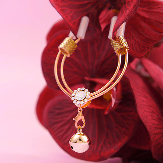 纵锦浪里铃铛阴夹女用品sm情趣工具调情成人用品乳夹惩罚乳头玩具 商品图3